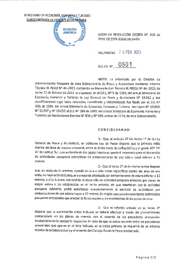 Res. Ex N° 0501-2023, Modifica Resolución Exenta N° 919 de 2018, de esta Subsecretaría. (Publicado en Página Web 28-02-2023).