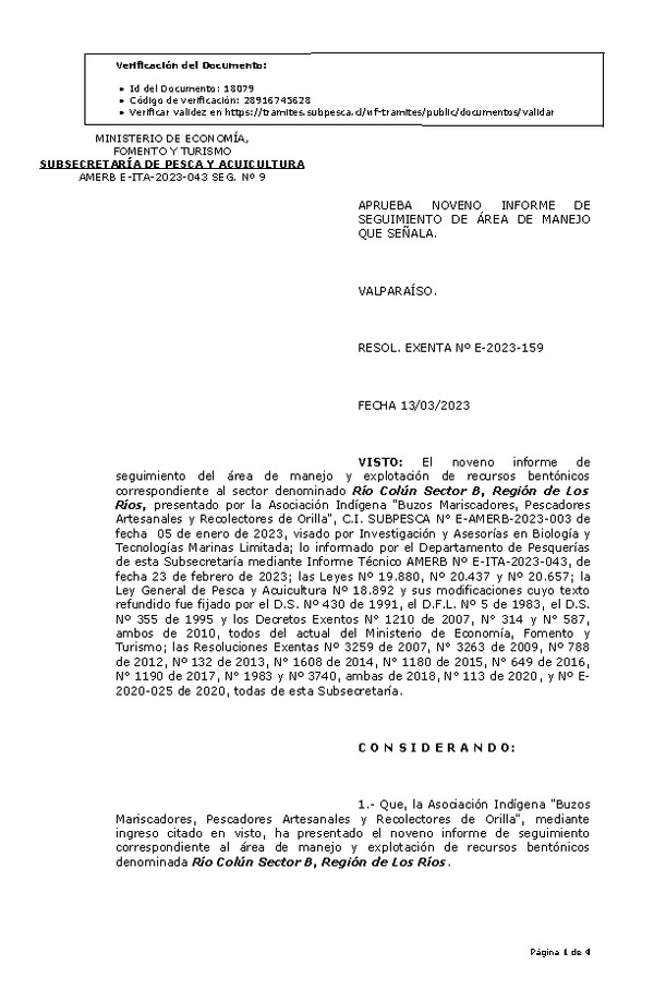 RESOL. EXENTA Nº E-2023-0159 9° Seguimiento. (Publicado en Página Web 13-03-2023)