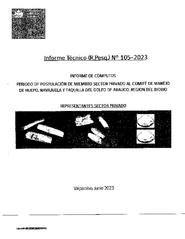 Informe Técnico Res. Ex. N° 1905-2023 Declara vacantes y abre período extraordinario de postulación de miembros titulares y suplentes del sector privado del Comité de Manejo de Huepo, Navajuela y Taquilla del Golfo de Arauco, Región del Biobío. (Publicado en Página Web 17-10-2023) (Publicado en Página Web 17-10-2023)