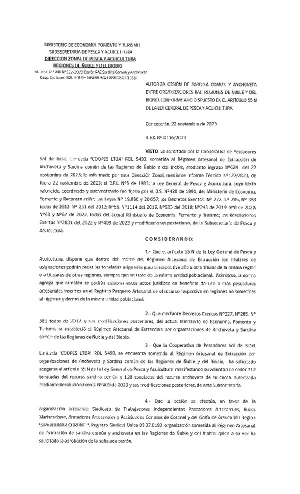 Res. Ex. N° 116-2023 (DZP Ñuble y del Biobío) Autoriza cesión Sardina común y Anchoveta. (Publicado en Página Web 22-11-2023)