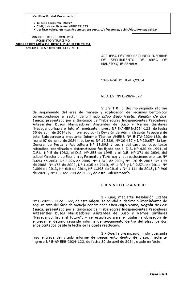 RESOL. EXENTA Nº E-2024-577 Aprueba décimo segundo informe de seguimiento. (Publicado en Página Web 08-07-2024)