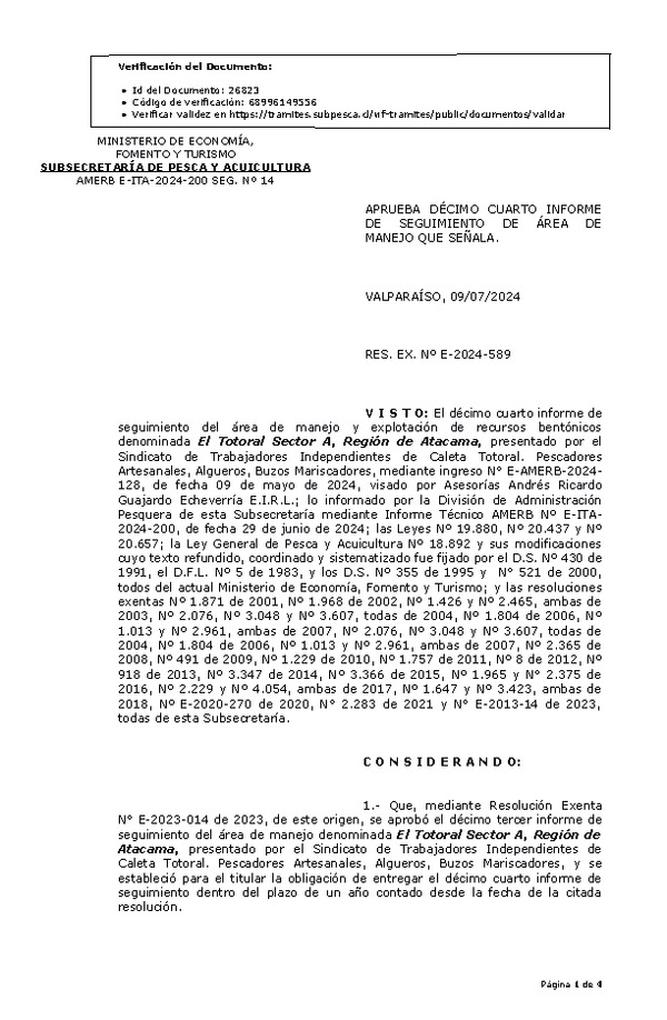 RES. EX. Nº E-2024-589 Aprueba décimo cuarto informe de seguimiento. (Publicado en Página Web 11-07-2024)