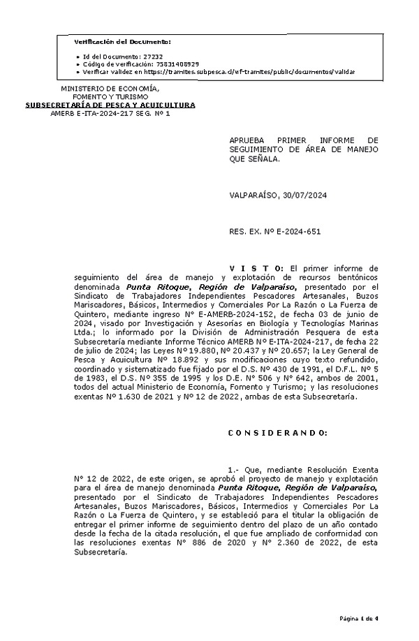 RES. EX. Nº E-2024-651 Aprueba primer informe de seguimiento. (Publicado en Página Web 31-07-2024)