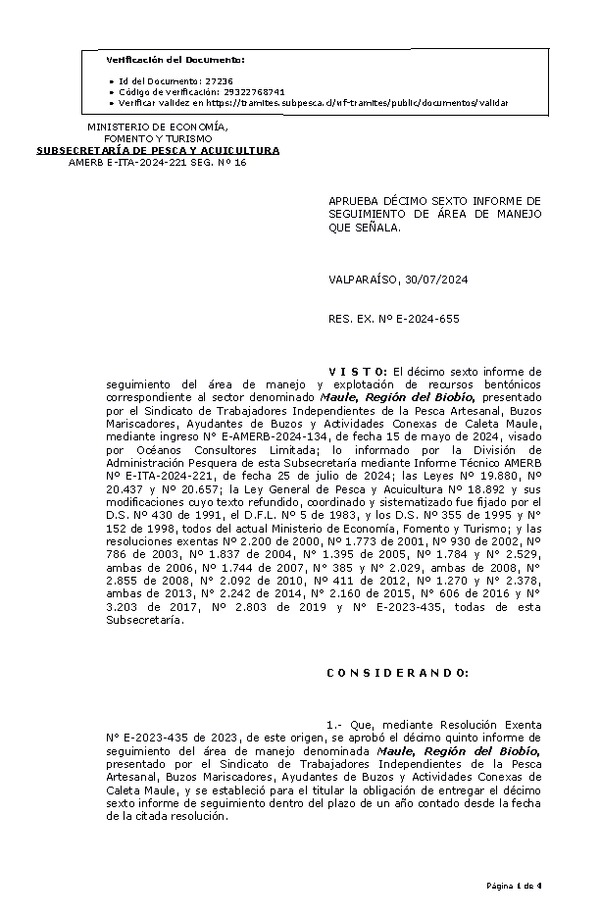 RES. EX. Nº E-2024-655 Aprueba décimo sexto informe de seguimiento. (Publicado en Página Web 31-07-2024)