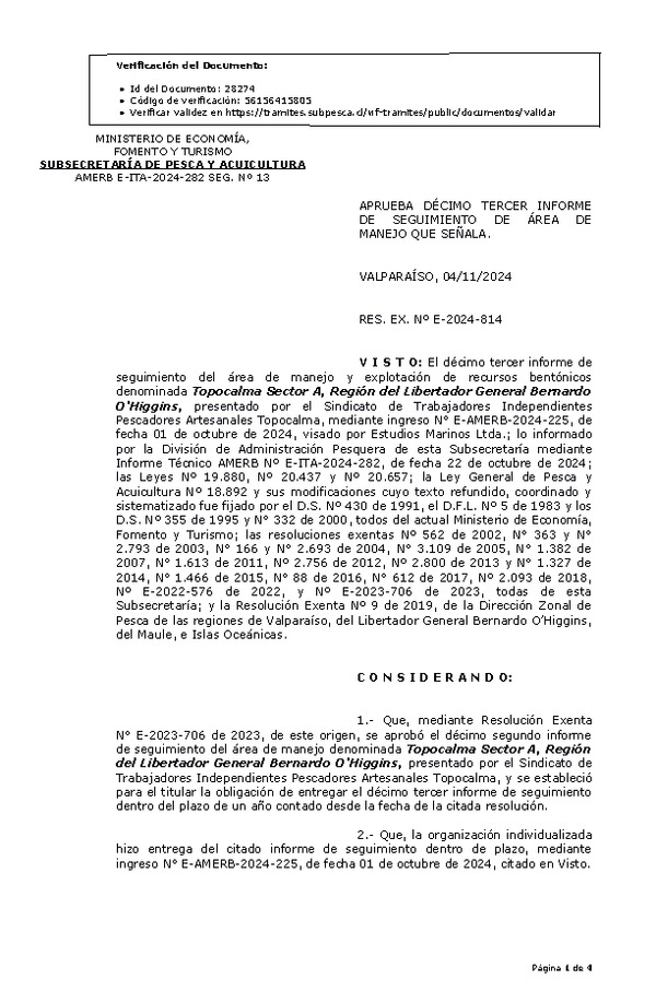 RES. EX. Nº E-2024-814 Aprueba décimo tercer informe de seguimiento. (Publicado en Página Web 05-11-2024)