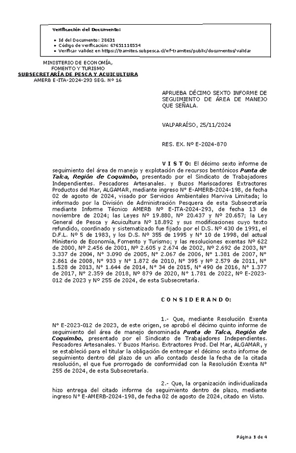 RESOL. EXENTA Nº E-2024-870 16° Seguimiento. (Publicado en Página Web 26-11-2024)