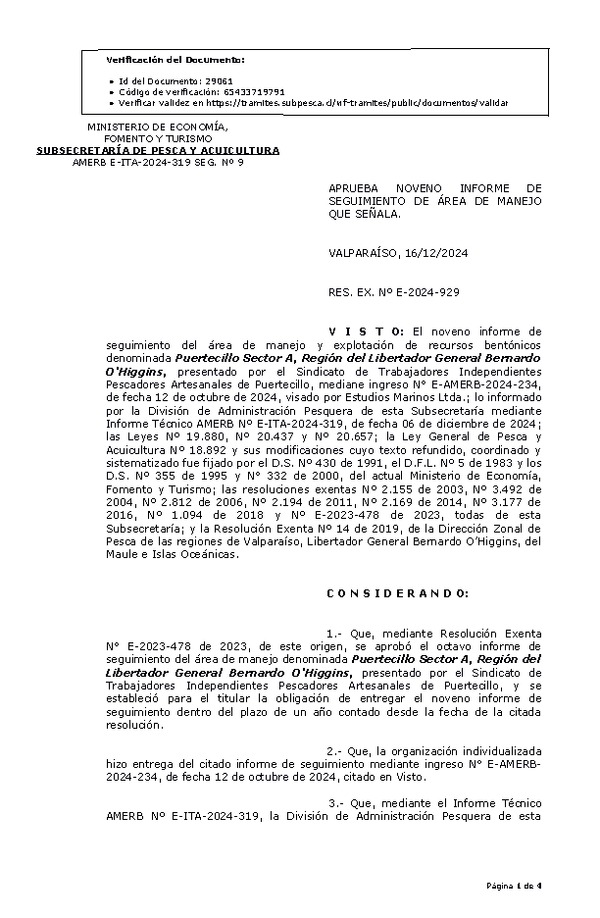 RESOL. EXENTA Nº E-2024-929 Aprueba noveno informe de seguimiento. (Publicado en Página Web 17-12-2024)