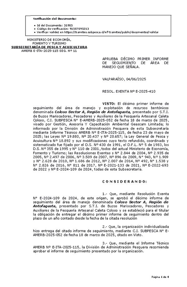 RESOL. EXENTA Nº E-2025-410 Aprueba décimo primer informe de seguimiento. (Publicado en Página Web 05-06-2025)