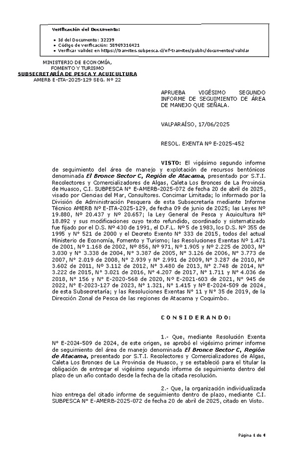 RESOL. EXENTA Nº E-2025-452 Aprueba vigésimo segundo informe de seguimiento. (Publicado en Página Web 17-06-2025)