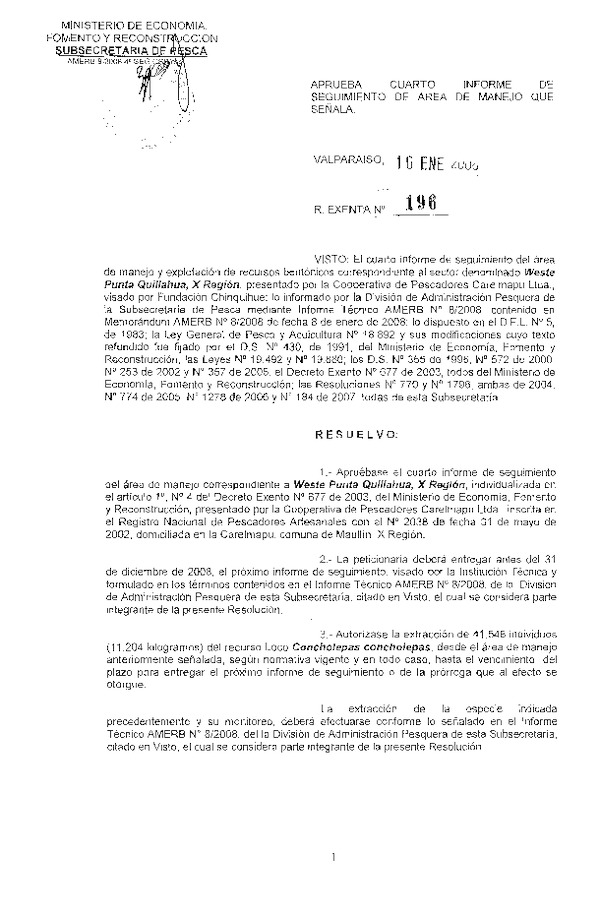 196.pdf