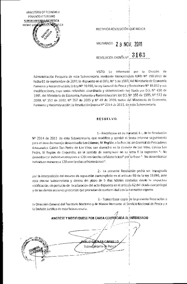 3163-11.pdf