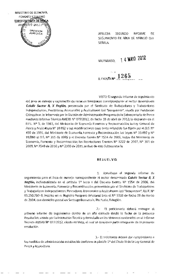 1265-12.pdf