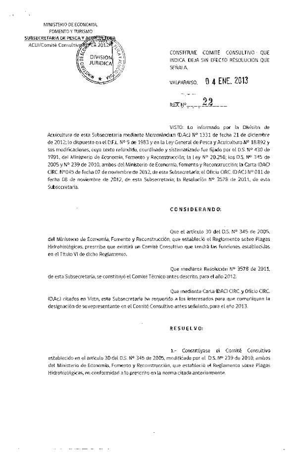 R EX N° 22-2013 Constituye Comite Consultivo. Deja sin efecto Resolución que señala. (F.D.O. 12-01-2013)