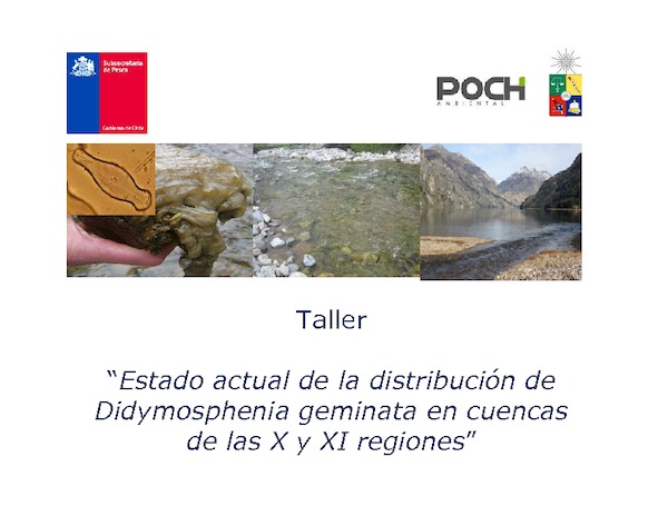 Taller Estado actual de distribución en X y XI reg segunda parte