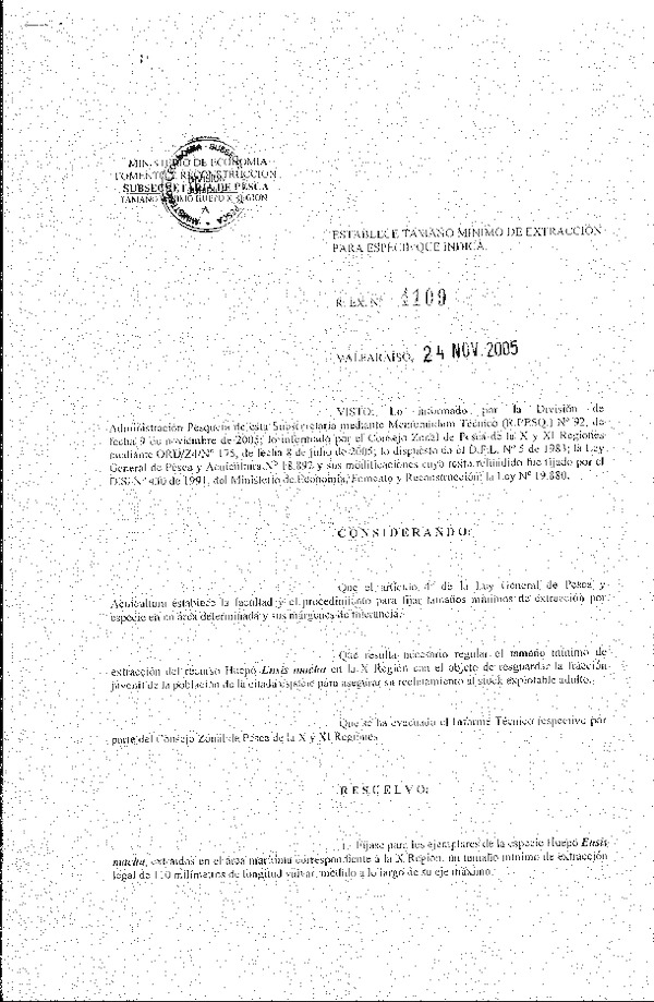 R EX. N° 4109-2005 Establece Tamaño Mínimo de Extracción X Región. (F.D.O. 02-12-2005)