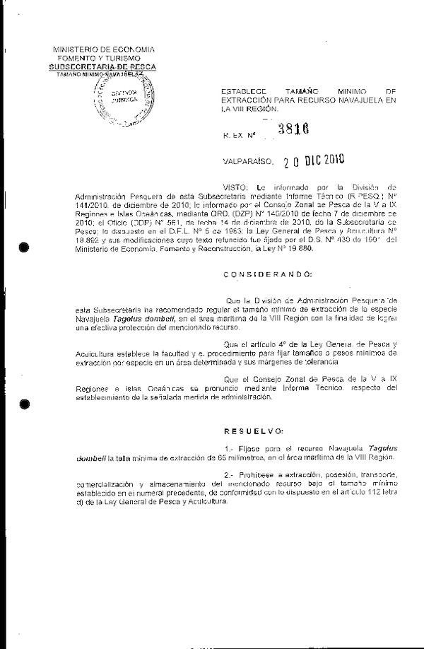 R EX N° 3816-2010 Establece Tamaño Mínimo de Extracción Navajuela VIII Región (F.D.O. 28-12-2010)