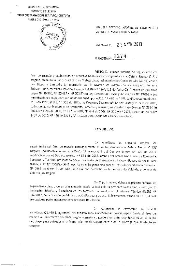 R EX N° 1274-2013 7° SEGUIMIENTO