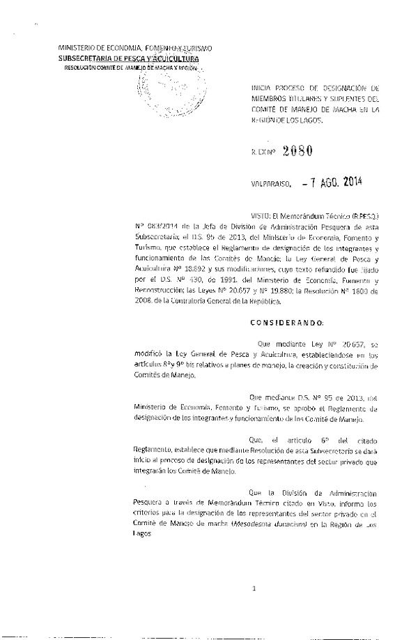 R EX N° 2080-2014 Inicia Proceso de Designación de Miembros Titulares y Suplentes del Comité de Manejo de Macha X Región. (F.D.O. 13-08-2014)