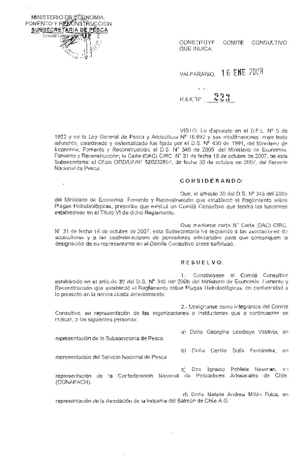 R EX 223-2008 Constituye Comité Consultivo que Indica.