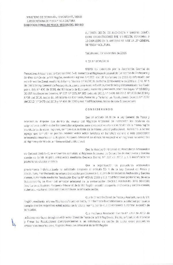 Res. Ex. N° 55-2016 (DZP VIII) Autoriza Cesion Anchoveta y Sardina Común, VIII Región