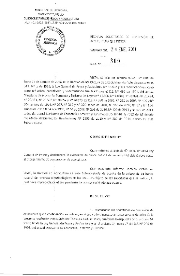 Res. Ex. N° 300-2017 Rechaza solicitudes de concesión de acuicultura que indica.