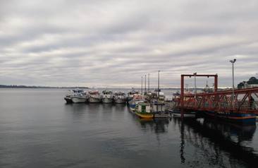 Dirección zonal de Pesca y Acuicultura Arica y Parinacota, Tarapacá y Antofagasta
