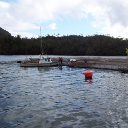 Subpesca evalúa implementación de un nuevo indicador de monitoreo ambiental para acuicultura