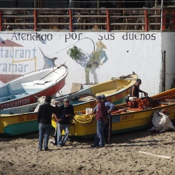 Pescadores de caleta Quintay quieren exportar moluscos vivos a Japón