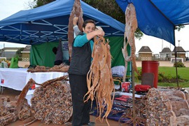 Festival del cochayuyo