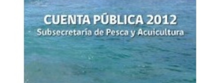 Cuenta Públoca 2012