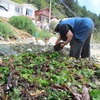 Pescadoras de todo Chile se reúnen en Congreso Internacional en Valparaíso