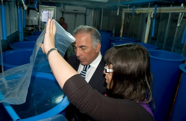 Instalaciones del Instituto Profesional La Araucana