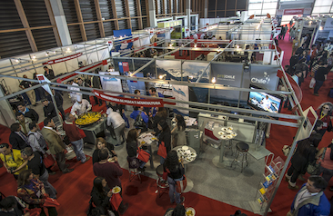 Stands de la feria.