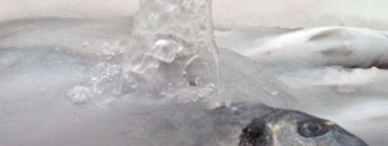 Hielo líquido