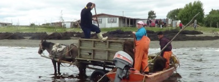 Acuicultura  a pequeña escala