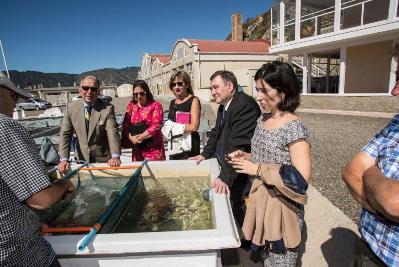 Galicia en Quintay
