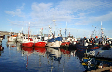 arteanales Puerto Natales