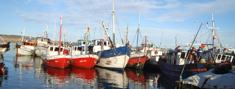 arteanales Puerto Natales