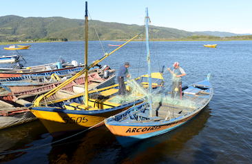 Caleta Piojo