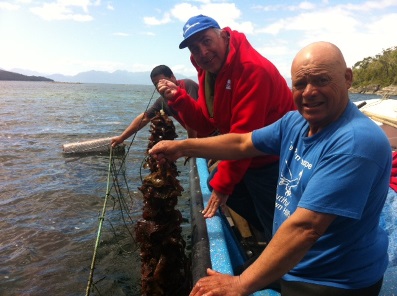islas huichas