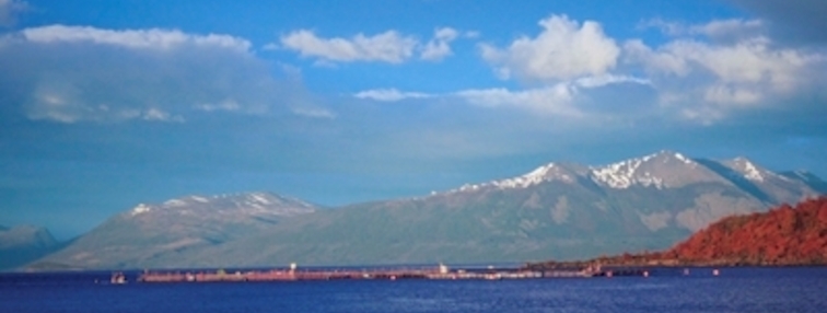 centro de cultivo en Magallanes