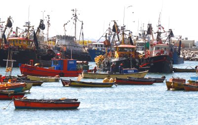 Caleta de Arica