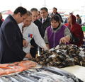 Autoridades del Biobío llaman a consumir productos del mar