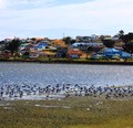 Inédita Feria Gastronómica Marina en Tierra del fuego reunió a cerca de 300 porvenireños