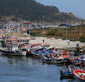 Ifop y Subpesca difunden resultados a pescadores artesanales de Lebu del monitoreo del pez espada y tiburón en la región