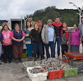 Plantas cocedoras y comercializadores se integraron al Comité de Manejo del Golfo de Arauco