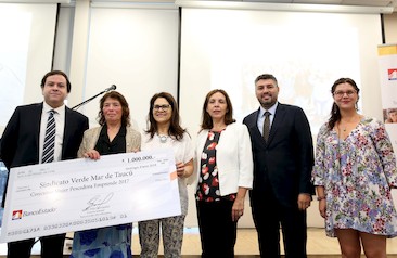 Premiación organizaciones