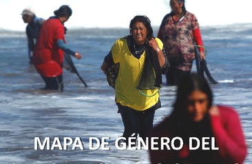 Mapa de género del sector pesquero chileno 2019