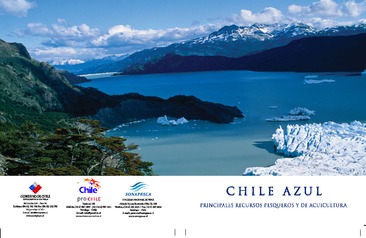 Llibro Chile Azul