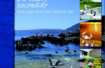 Un tesoro escondido: flora y fauna de la costa central de Chile